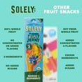 thumbnail image 4 of SOLELY Organic Mango Blueberry Fruit Jerky,12 Individually Wrapped Strips, Made from Dried Fruit, Healthy Snacks for All, Vegan Snacks, 0.8oz (23g), 4 of 8