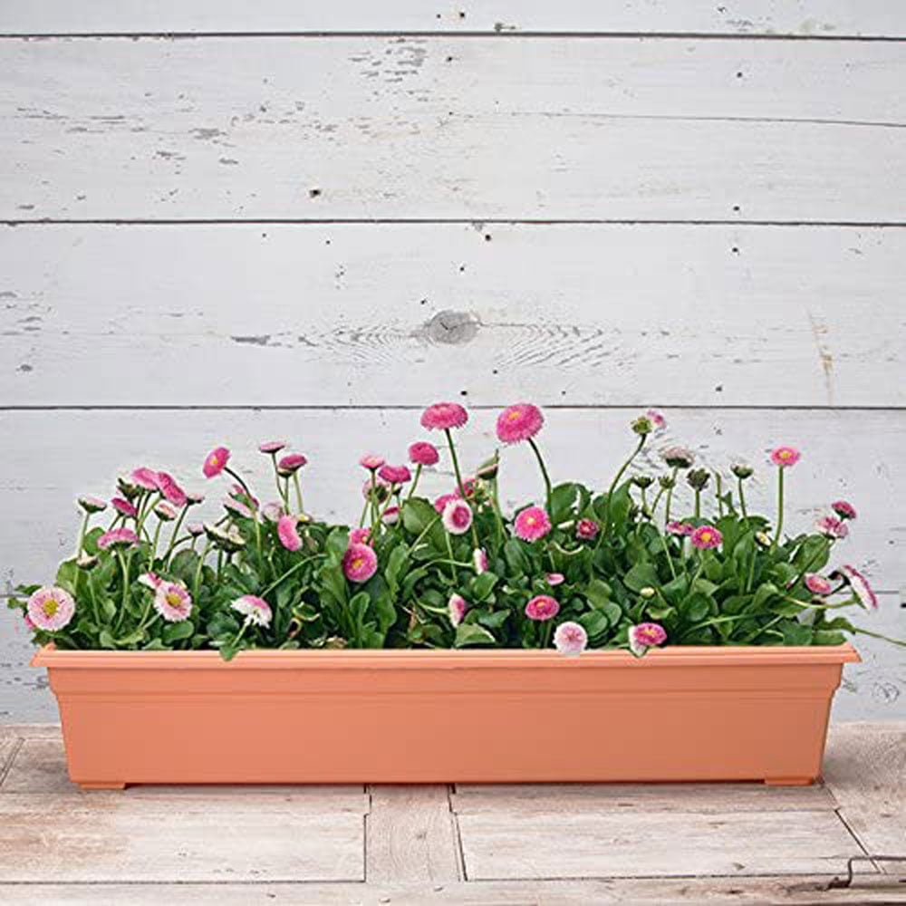 Root & Vessel Countryside Flower Box, Terra, 36"