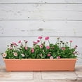 thumbnail image 3 of Root & Vessel Countryside Flower Box, Terra, 36", 3 of 3