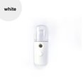 thumbnail image 1 of Antqov Factory Direct Spray Hydrator Handheld Portable Rechargeable Beauty Cold Spray Hydration Facial Humidifier Wholesale, Home Accessories, 1 of 2