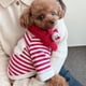 thumbnail image 4 of Christmas Dog Clothes Scarf Fall/Winter Cat/Puppy Cute Stripes with Sweater Holiday Designer  Clothes  Pet Products  Winter ShopWise Round, 4 of 6