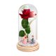 thumbnail image 1 of Rosa iluminada en cúpula de cristal, decoración creativa para San Valentín, regalos de flores rosas para Propuesta de base de madera, 1 of 9