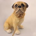 thumbnail image 7 of Gold Curb Chain Metal Dog Collar for Large Dogs, 16mm Thick Training Basic Dog Supplies, 7 of 7