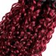 thumbnail image 4 of Hair Bundles DiexRlamx Burgundy Ombre rojo rizado 35-45 cm 300 g, 4 of 6