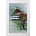 thumbnail image 1 of Harrison, Lesley 12x18 White Modern Wood Framed Museum Art Print Titled - Emily and the Foal, 1 of 4