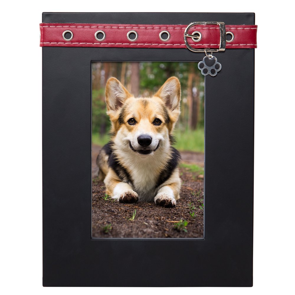 Mainstays Mainstays 4x6 Dog Picture Frame, Black with Red Collar and