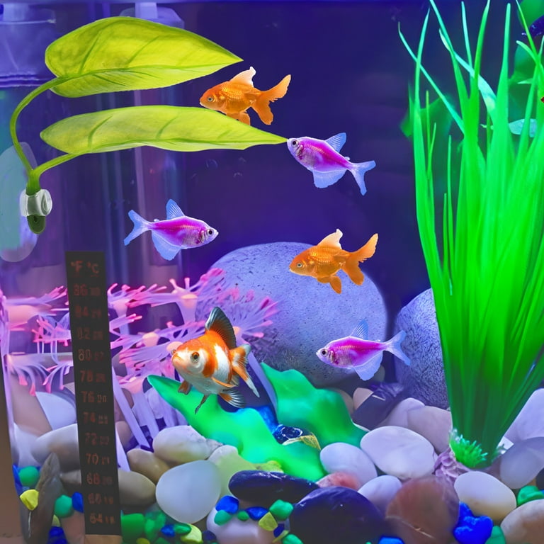 4st Betta Blad Hangmatten, 4 Stijlen Betta Blad Pad met Zuignap Aquariumdecoratie-Accessoires voor het Simuleren van Natuurlijke Habitats(Groen