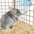 thumbnail image 3 of Rabbit Water Bottle for Small Animal Dog Guinea Pig, 3 of 7