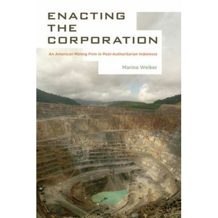 Enacting The Corporation An American Mining Firm In Post
