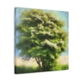 thumbnail image 2 of Elm Tree In Bloom - Canvas, 2 of 10