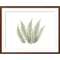 thumbnail image 2 of Art.com Tree Fern Portrait 4 Premium Giclee Print by Albert Koetsier, Brown Frame Wall Art, 29" x 23", 2 of 5