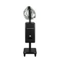 thumbnail image 4 of DERMALOGIC Hair Steam Mist Hand Hair Steamer Warm Mist Moisturizing with Timer Salon Spa Equipment, Black, 4 of 5