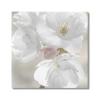 Stupell Industries Apple Blossom Close Up Botanical & Floral Photography Gallery Wrapped Canvas Art Print Wall Art, 17 x 17