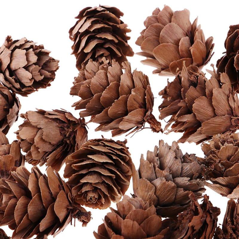 30x Mini Natural Pine Cones Dried Flowers for Retro Photo Shooting Props 
