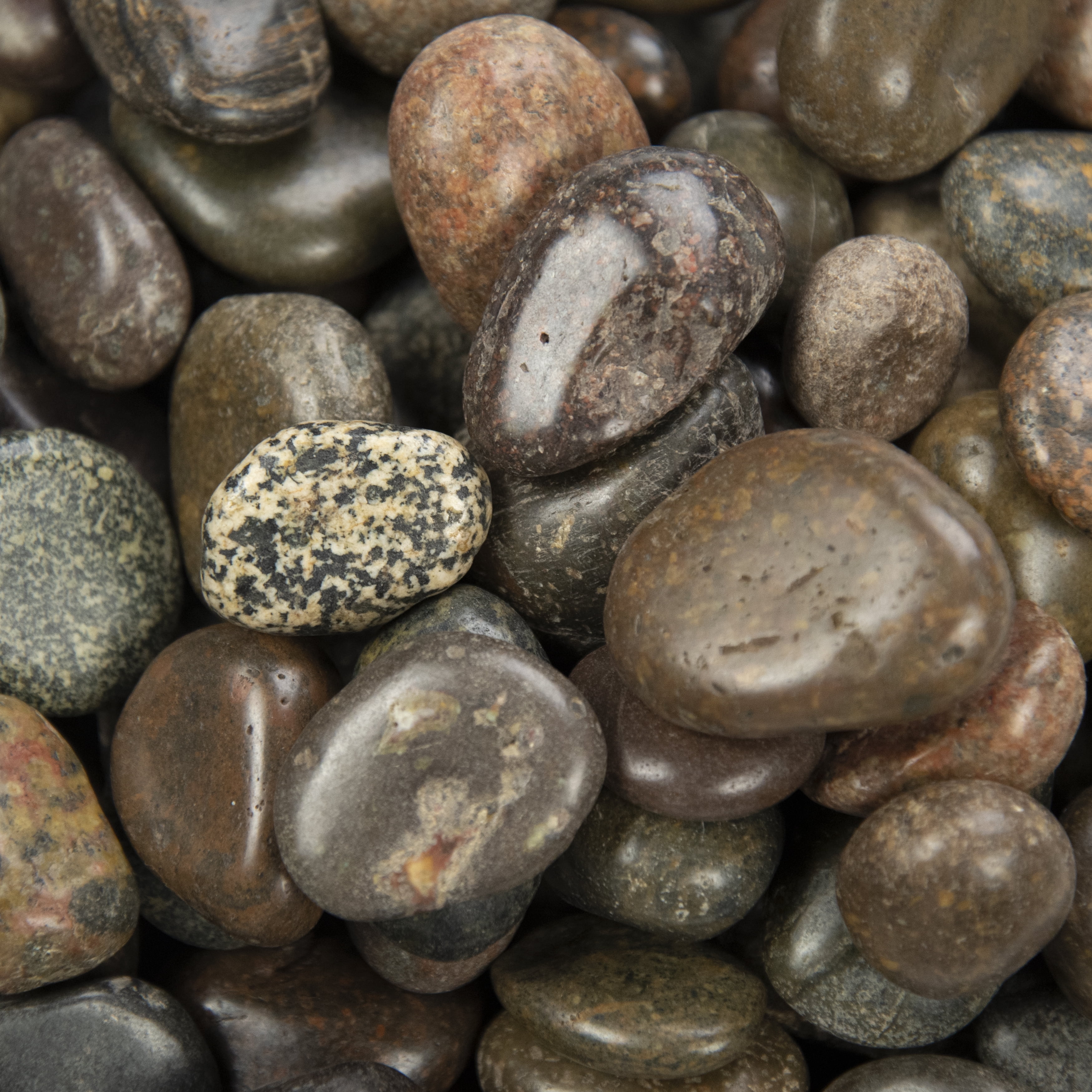 MSI 40 lb. Marble Decorative Stones, Grade-1, First-Quality Polished Marble Pebbles Green
