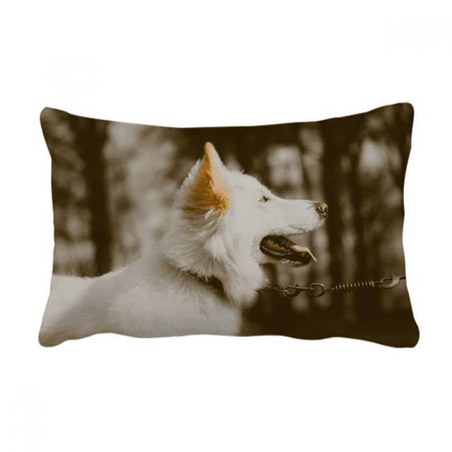 Coussin Photo Chien Blanc Animal de Compagnie Housse de Coussin Lombaire Décoration Maison