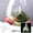 Clear, variant on Bulk White Tote Bags with Handle 100Pcs Food Grade PE Grocery Bags 7.87x11. Inch Heavy Duty Shopping Totes for Supermarket Store Grocery Fruit Market and Home Kitchen Use