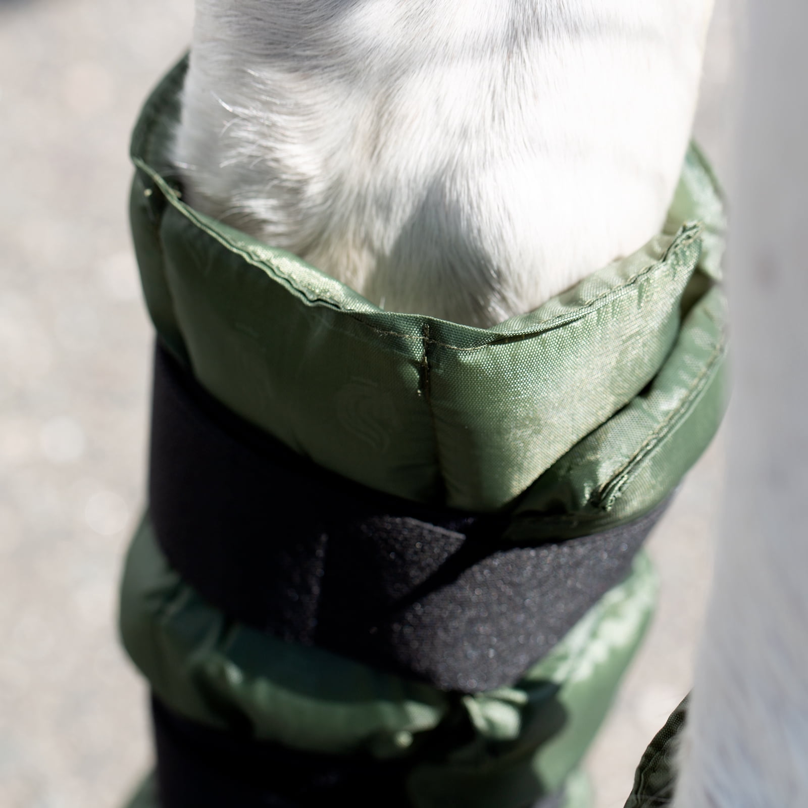 Equinavia Cool Relief Therapy Ice Boots Leg Wraps Pair for Horses, Gel Pack with Adjustable Straps | 16.5" x 15.5" with Storage Bag