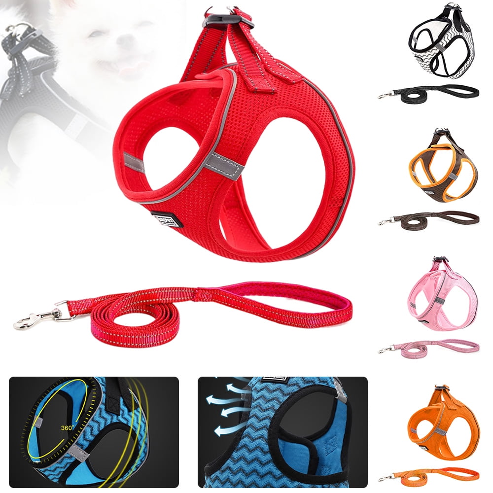 Goory XXSXL Dog and Cat Harness with Leash