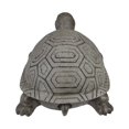 thumbnail image 4 of Northlight 11.75" Polished Gray Turtle Outdoor Garden Statue, 4 of 5