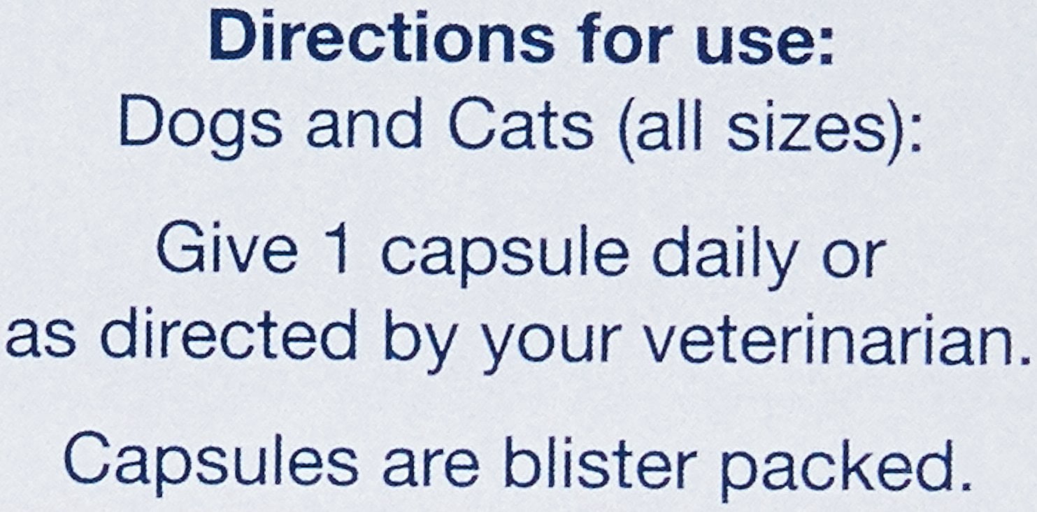 nutramax proviable dc for dogs