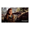 Horizon Zero Dawn Collector