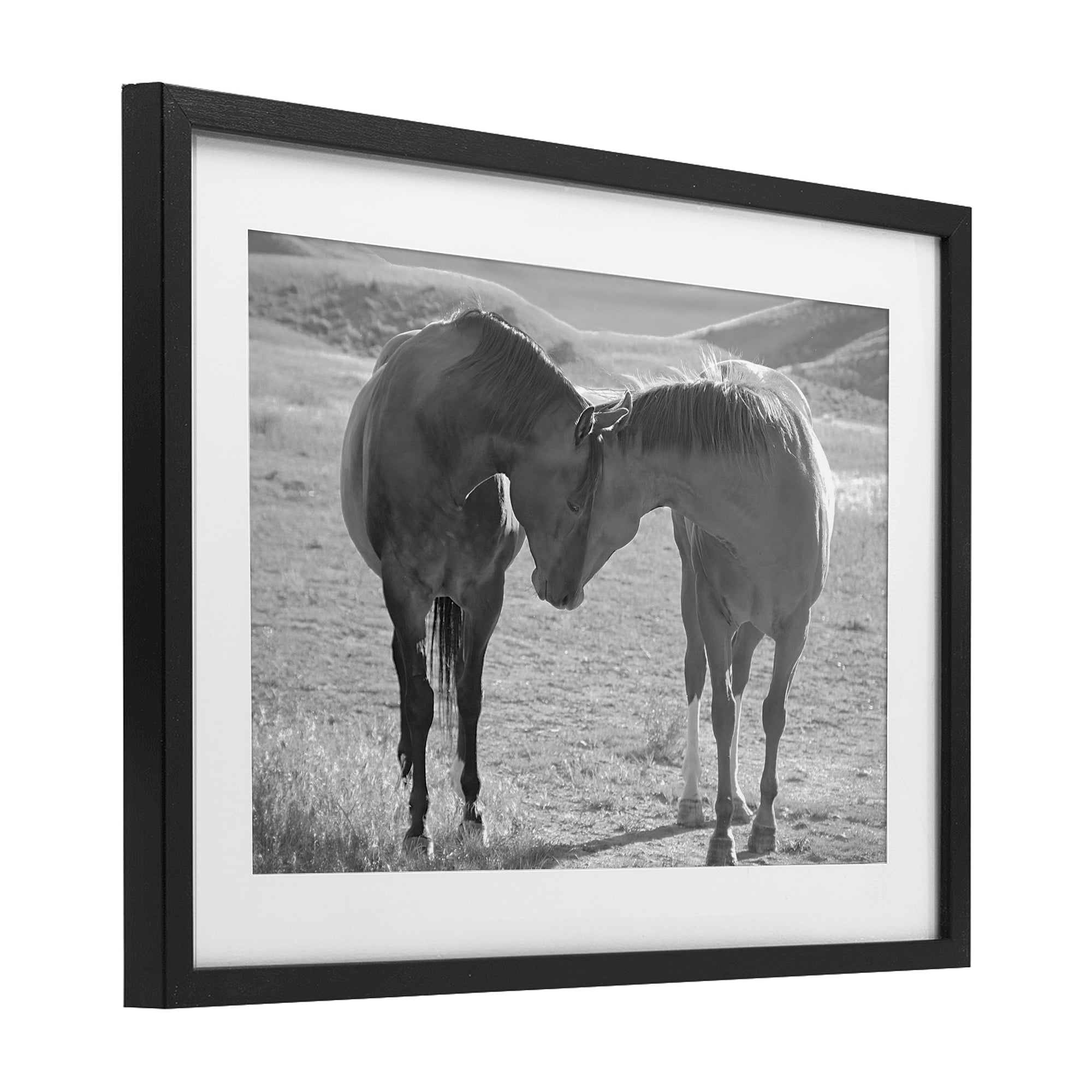 Stupell Industries Sweet Nothings Bond Between Horses Black Framed Print Under Glass, design by Steve Toole