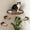 Dark Brown, variant on Cat Wall Shelves - Safe And Sturdy Furniture Stylish Corner Shelf With 3 Steps For Cats Up To 15lbs Cushioned Perch Stairs Climbing Playing Wood