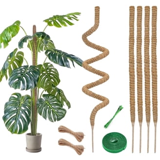 Duspro, Moss Pole for Monstera, 42 Inch Tall, Bendable Plant Support -  Walmart.com