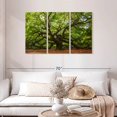 thumbnail image 2 of Elephant Stock Oak Wall Art - Horizontal Multi Panel Canvas - Living Room Wall Decor - Floral And Botanical Multi Panel - Brown And Green Decor - 45" x 28", 2 of 4