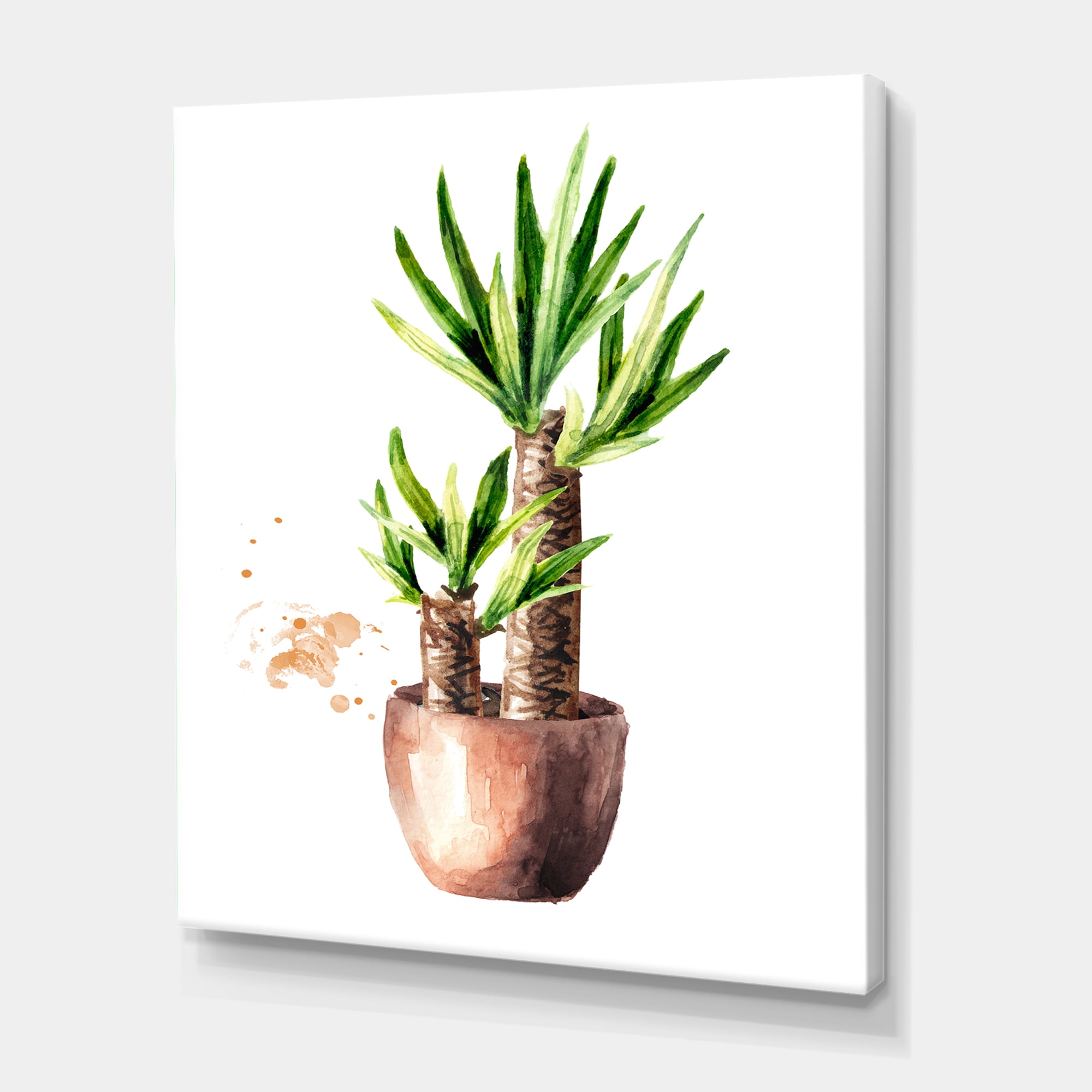 Designart ' Yucca Tree In The Ceramic Flower Pot On White ' Traditional Canvas Wall Art Print