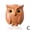 Coffee, variant on Owl magnetic pendant, owl hook refrigerator sticker S9A3
