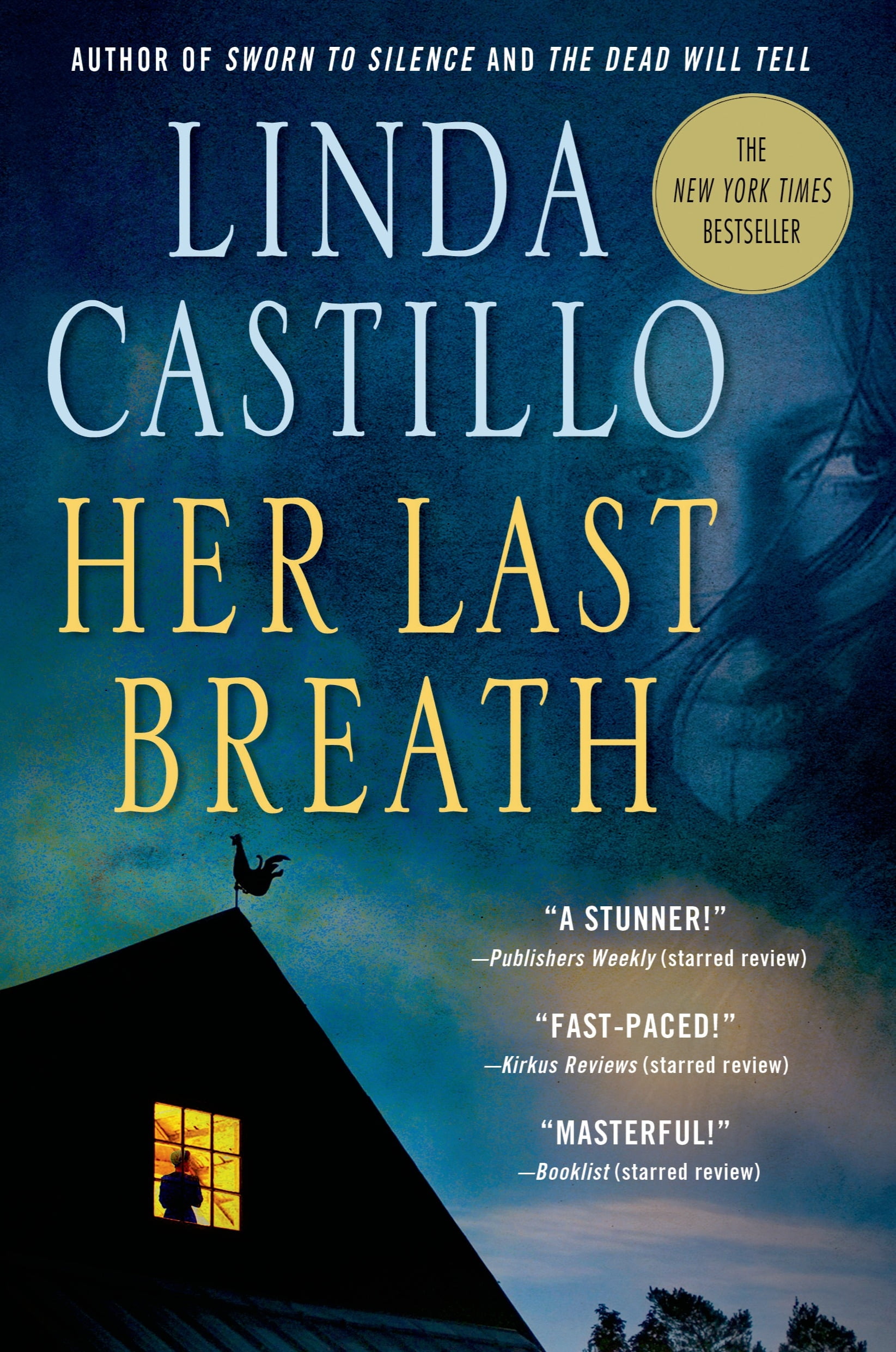 the kate burkholder series the kate burkholder series