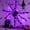 49" LED Spider Wearable, variant on Halloween Decorations Outdoor Spider Webs: 1Pcs Giant Spiders - 200'' Triangular Web with Hook - Stretch Web and Ground Stakes for Large Halloween Decor and Haunted House Decoration
