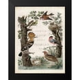 thumbnail image 2 of Nozeman 19x24 Black Modern Framed Museum Art Print Titled - Woodpecker Sanctuary, 2 of 5