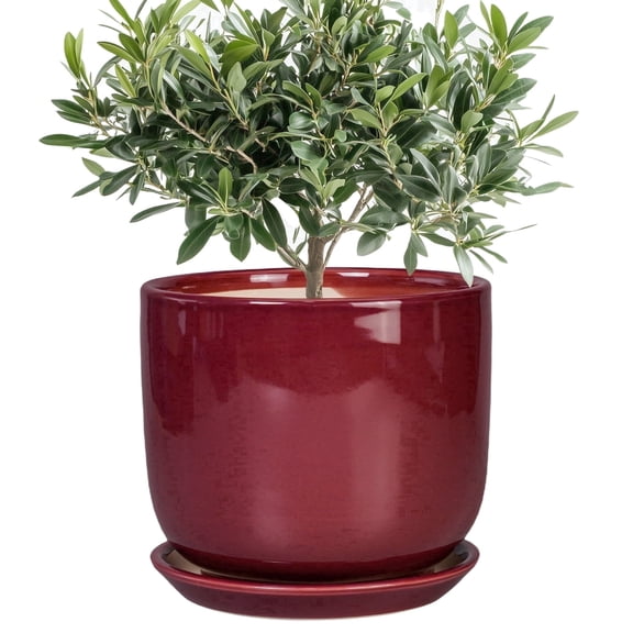 8 Inch Red Ceramic Planter with Drainage Hole – Large Round Flower Pot for Snake Plants, Bonsai, Bold Garden Decor