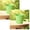 Green, variant on 2PCS Small Metal Buckets with Handle,4.5 inch for Kids,Classroom,Crafts,and Party Favors(Green)
