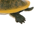 thumbnail image 3 of Juguete de figura animal CUTICAT Tortuga de Caparazón Blando, 3 of 8