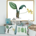 thumbnail image 2 of Designart 'Ancient Plant Life VI' Traditional Framed Canvas Wall Art Print, 2 of 5