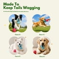 thumbnail image 7 of Deeow Natural Latex Squeaky Dog Chew Toys, Soft Teething Puppy Toys for Small & Medium Dogs, Anxiety Relief Interactive Pet Toy Set, 7 of 7