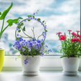 thumbnail image 2 of Marcos de soporte de flores redondos para plantas trepadoras - Daisy Design, 2 of 5