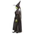 thumbnail image 2 of The Wizard of Oz Wicked Witch Deluxe Costume for Adults by Rubies, Women's Medium, 2 of 6