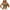 31# Army Green, variant on UoCefik Black Camisole Women Built In Bra Summer Adjustable Spaghetti Strap Tank Top 2025 Plus Size Padded Bra Undershirts Light pink L