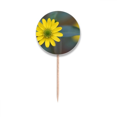 thumbnail image 1 of Yellow Flowers Green Chrysanthemum Toothpick Flags Round Labels Party Decoration, 1 of 3