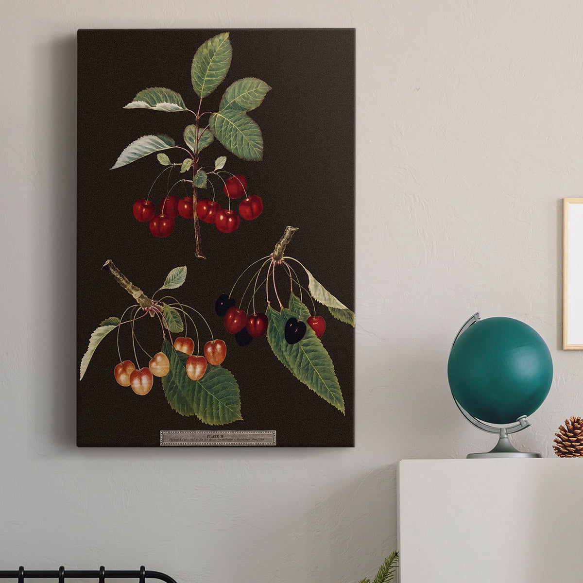 Brookshaw Cherries Premium Gallery Wrapped Canvas - Ready to Hang
