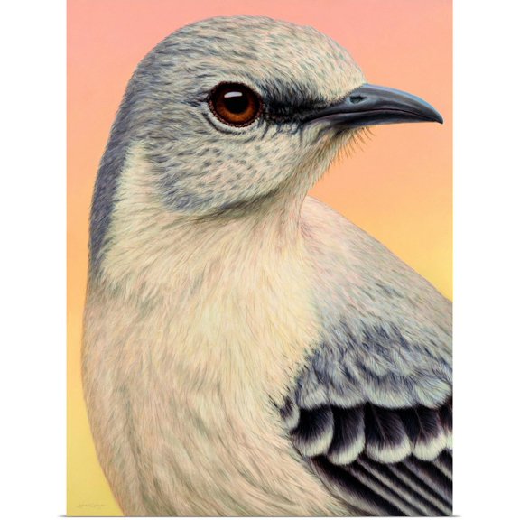 Great BIG Canvas | Rolled James W. Johnson Poster Print entitled Mocking Bird