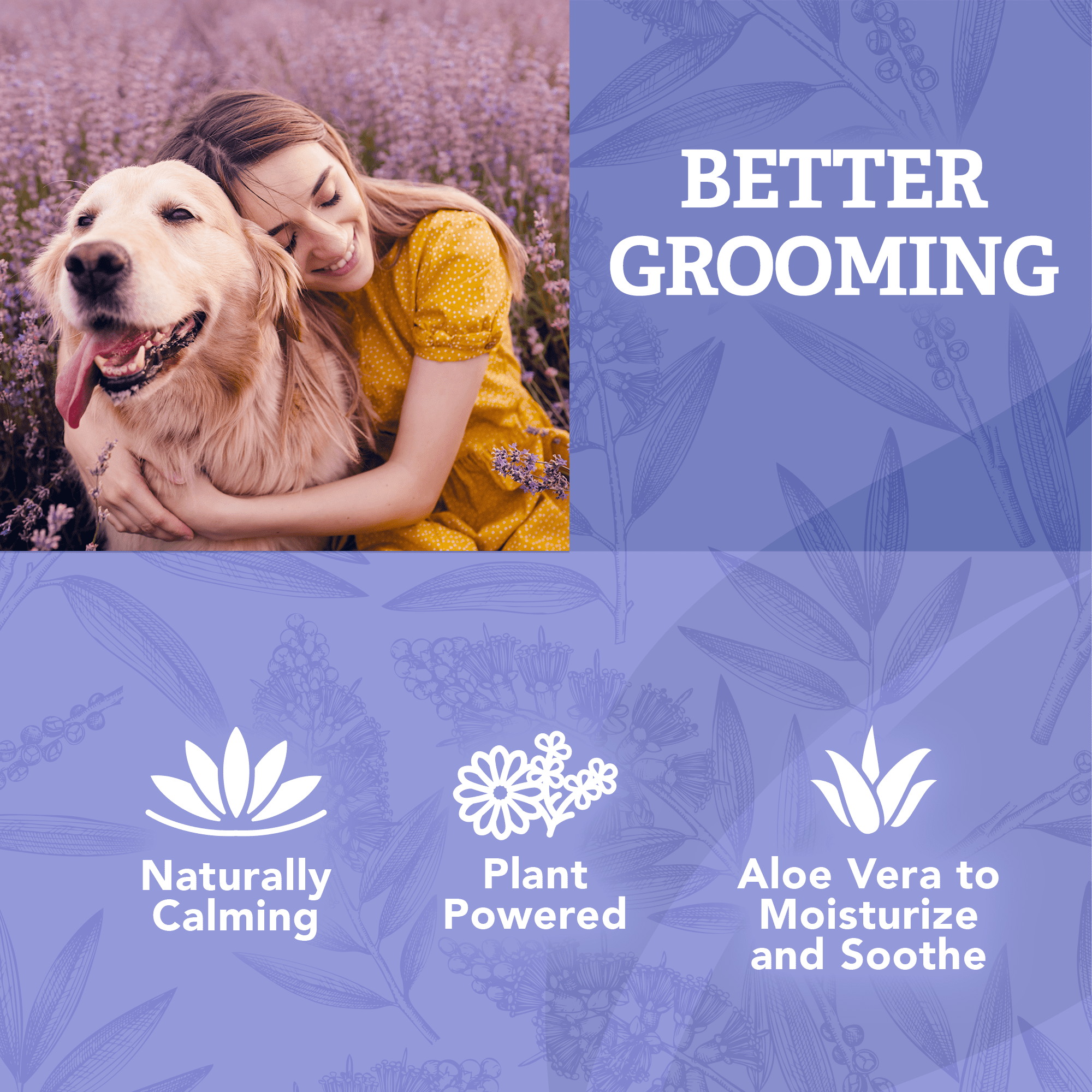(4 pack) NC Calming Shampoo for Dogs - Lavender Scent - 20oz.