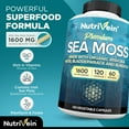 thumbnail image 6 of NutriVein Organic Sea Moss 1600 mg Gut and Thyroid Support 120 Capsules, 6 of 7