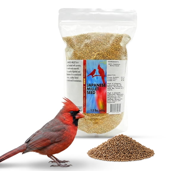 Morning Bird Japanese Millet Seed Bag 1.5 lbs - Bird Food for Finches, Canaries & Parakeets – Natural Millet Seed for Daily Nutrition