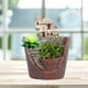 thumbnail image 2 of Maceta, Miniatura de jardín celeste, maceta para plantas, para cactus Villa, 2 of 8